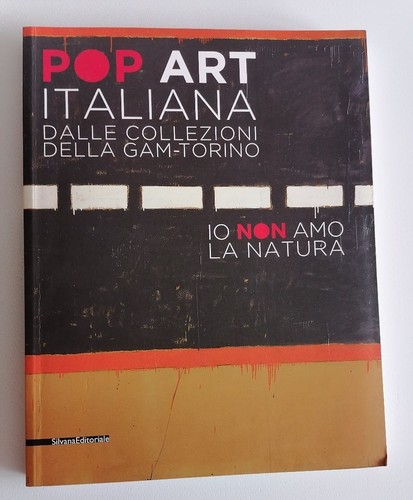 Pop art italiana dalle - art,