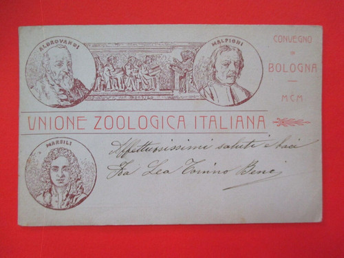 Cartolina unione zoologica - cartolina,